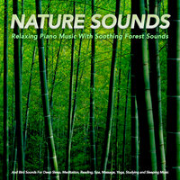 Peaceful Music For Meditation - Sleep Sounds Of Nature & Forest Sounds & Nature Sounds Piano