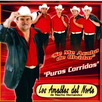 El Hombre de la Palma - Los Amables del Norte