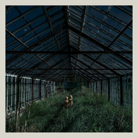 Glass Coughs - Foxing