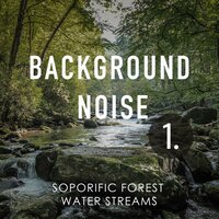 Soporific Forest Water Streams, Pt. 5 - Thomas O'Reilly