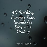 Shower Raindrops - Nature & Sounds Backgrounds & Raindrops Sleep & Mother Earth Sounds