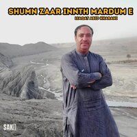 Shara Wathee Kadhee Rawae - Liaqat Abid Kharani