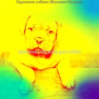 Настроения (Тихие щенки) - оригинал Музыка для собак