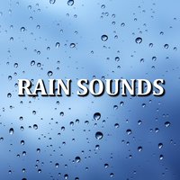 Quality Nighttime Rain Sounds - Deep Sleep