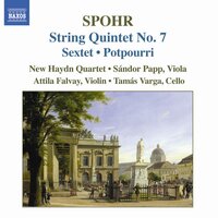 String Quintet No. 7 in G Minor, Op. 144: I. Allegro moderato - Sandor Papp & New Haydn Quartet & Луи Шпор