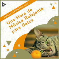 Instrumental de fondo en el bosque - Hora de la Música del Gato & Música Relajante para Gatos & Música Calmante para Gatitos