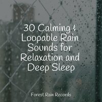 Rain, Evening, Leaves - A Sudden Rainstorm & nature & Sounds Background & Nature Sounds for Concentration