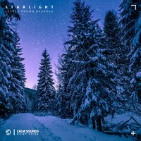 Starlight - Lesser Known & Asnova & Calm Sounds & Sakura Records