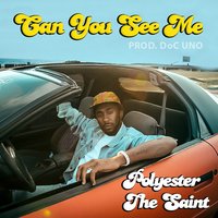 Can You See Me - Polyester the Saint