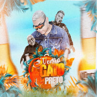 Supera Teu Ex - Bonde do Gato Preto & MC Torugo