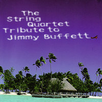 Ships in the Harbor - Vitamin String Quartet