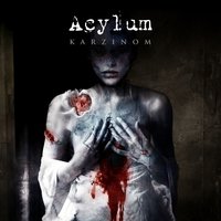 Shoot em Up - Acylum