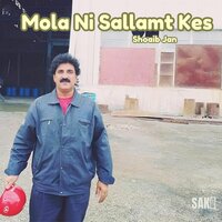 Mubarak Mubarak - Shoaib Jan