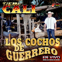 Los Cochos De Guerrero - Tierra Cali