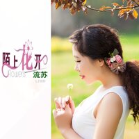 一曲琵琶歌不休 - 流苏