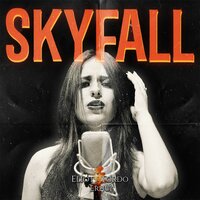 Skyfall - Eliott Tordo Erhu