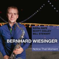 Fellowship (Vocal) - Bernhard Wiesinger & Kevin Hays & Scott Colley & Bill Stewart