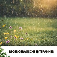 Nieselregende Träume - Dog Relaxation & The Rain Factory & Regengeräusche
