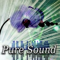 Pure Sound (Massage) - Gentle Instrumental Music Paradise