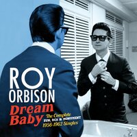 I Can't Stop Loving You - Roy Orbison