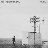 חסד מקרי - Aviv Guedj