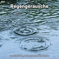 Regengeräusche, pt. 58 - Matties Nehl