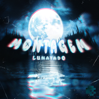 MONTAGEM LUNATADO - DJ VETA3 & MYRZOEV