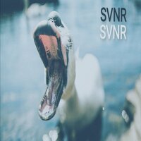 RESPEKT - Ubåt & SVNR