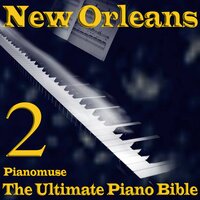 New Orleans 23 - Pianomuse