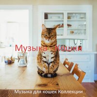 Мечты (Спящие кошки) - Музыка для кошек Коллекции
