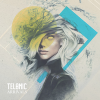 Lesson Learned - Telomic