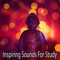 Bones For Thought - Brain Study Music Guys