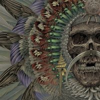 Strong Eye - Ortega