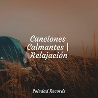Buceo Profundo - Musica Para Dormir Profundamente & Piano para Dormir & Música para Relaxar Maestro