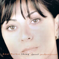 Diary of a Palestinian Wound - Amal Murkus