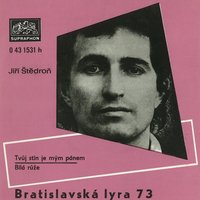 Pod stříbrem hvězd - Jiří Štědroň