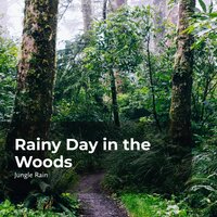 Murky Bushy Jungle - Nature and Rain & Deep Rain Sampling & Jungle Rain