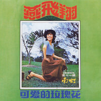 山高水又長 - 南虹 & The Stylers