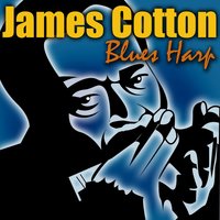 Off The Wall - James Cotton