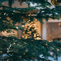 We Wish You a Merry Christmas - Christmas 2021 - Classical Christmas Music