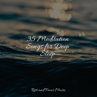 Serene - Sleep Music & Musica Para estudiar Academy & Sounds Of Nature Relaxation