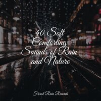 Tin Roof Rain - Gentle Rain Makers & Nature Sounds Collection & Tinnitus