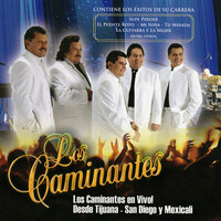 Todo Me Gusta De Ti (En Vivo) - Los Caminantes