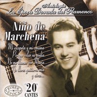 Entra un Jardín por Flores - Niño de Marchena