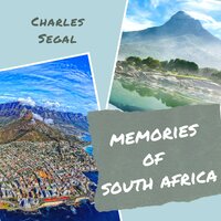 The View from Bloubergstrand - Charles Segal