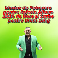 Muzica de Petrecere pentru Soferie Album 2024 de Hore și Sarbe pentru Drum Lung - SORINEL DE LA PLOPENI