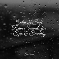 Trickling Flows - Sounds of Rain & Thunder Storms & Brain Study Music Guys & Meditação Yoga