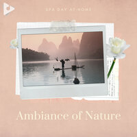 Ambient Birds for Cat Stimulation - Spa Day At Home