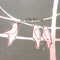My Jury's Still Out On You - Joy Kills Sorrow