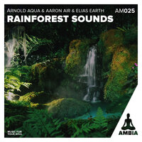 Calming Thunderstorm - Elias Earth & Arnold Aqua & Ambia Music